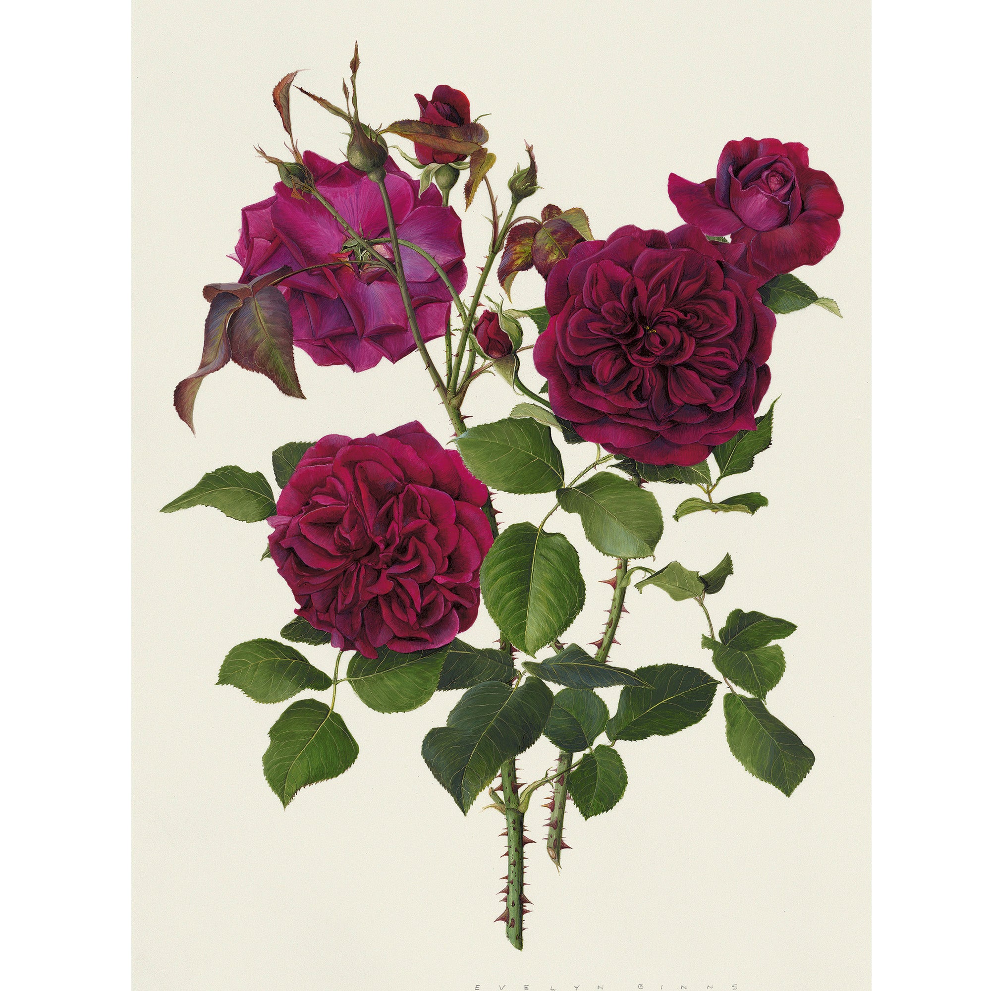 'Munstead Wood' Limited Edition Print