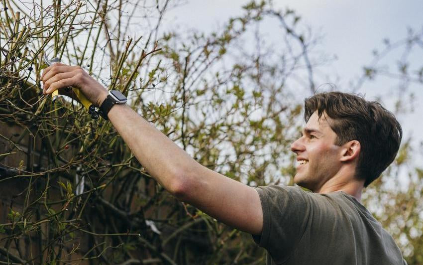 Pruning Roses In April? Here's What You Should Know First