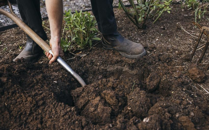 Man using a shovel to remove soil from the ground