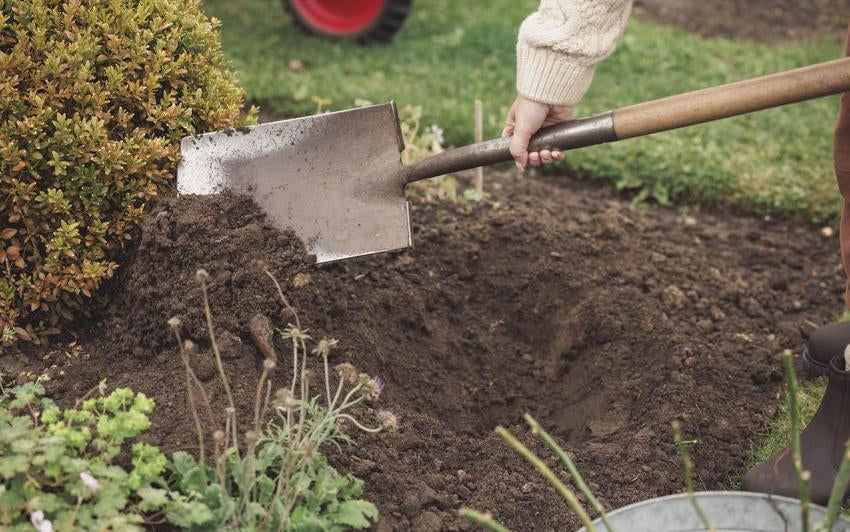 Woman shovelling soil to make a hole in the ground