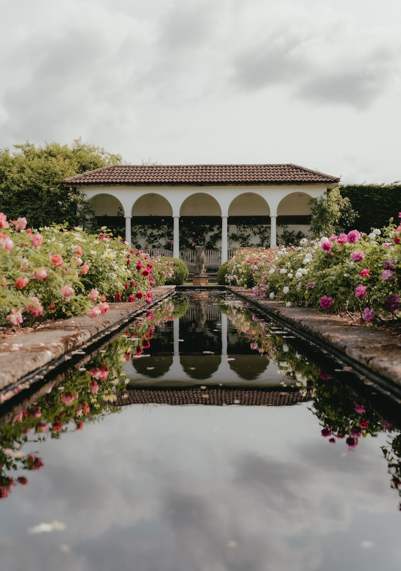 David Austin rose garden with a water feature and English roses