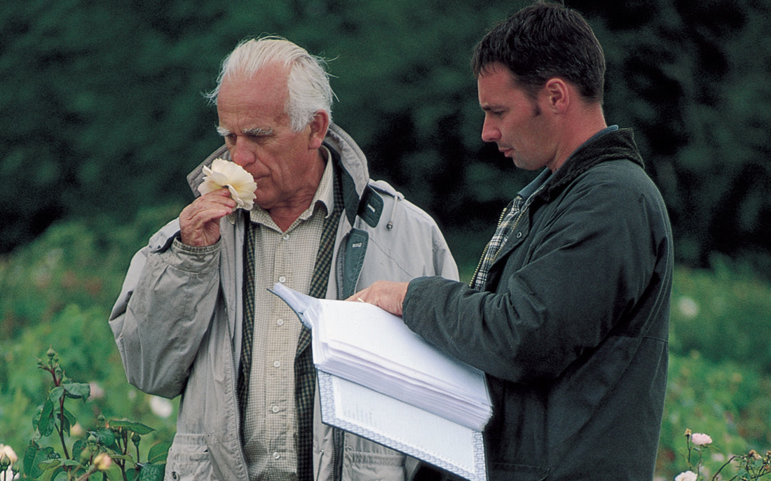 David Austin smelling a rose