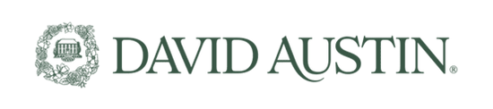 David Austin Roses - US