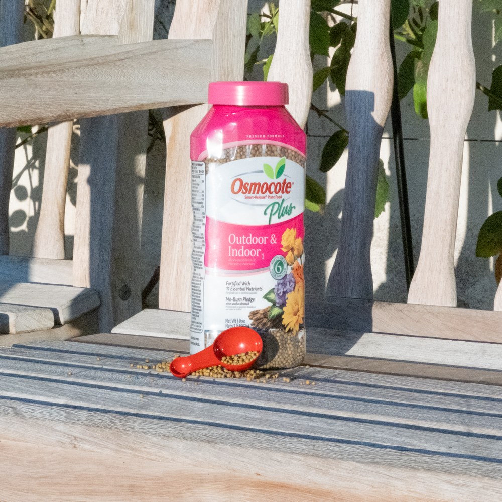 Osmocote rose feed on a bench